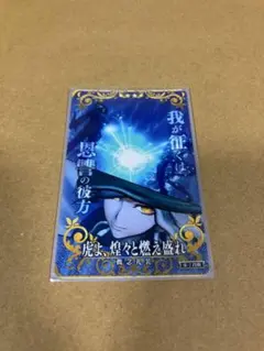 FGOAC 巌窟王　フェイタル　聖杯フェイタル 2026年最新】fgoアーケード フェイタル 巌窟王の人気アイテム - メルカリ