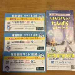 たんばらスキーパークリフト券➕特別優待リフト券 リフトチケット | ファミリー・子供にやさしい群馬の日帰りスキー場