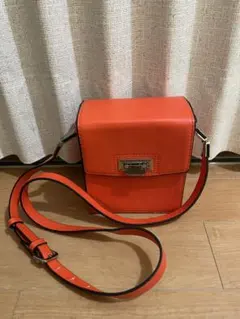 ZARA ショルダーバッグ
