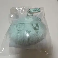 【新品未開封】SEVENTEEN セブチ NEW_ ボンボンイ 限定 大阪