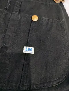 Item thumbnail for item 35eee626-4a08-4313-8e66-bf10181ca713