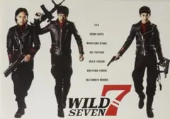 映画パンフレット「ワイルド７」+フライヤー★瑛太主演で人気漫画を実写映画化★