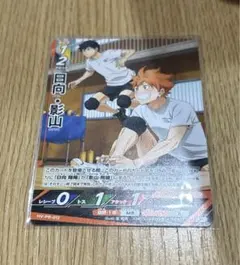 ハイキュー バボカ 日向・影山