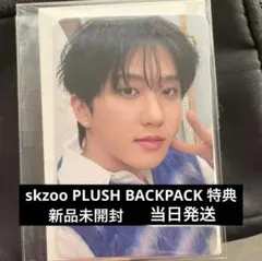 stray kids 韓国ペンミ PVCバッグ トレカ フィリックス チャンビン