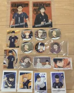 ハイキュー　烏野　17点セット