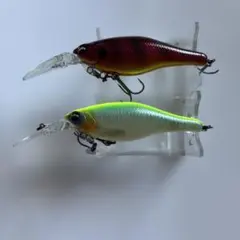 イマカツ ドノーシャッドのサムネイル