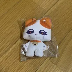 ME:I ミーアイTSUZUMI 海老原鼓 ガチャガチャ セット！ - メルカリ