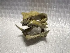 ガメラ頭蓋骨 彩色版 ガメラ ガッパ ギララ 特撮大百科ver.1 大怪獣総集結のサムネイル