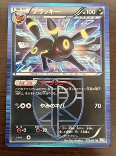 2026年最新】ブラッキー R BW8 ライデンナックル 031/051の人気