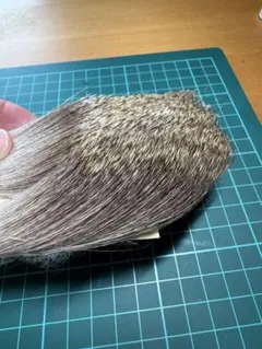 Item thumbnail for item 42b69e30-650d-4aeb-815c-91b784215db3