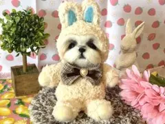 2025年最新】シーズーぬいぐるみの人気アイテム - メルカリ