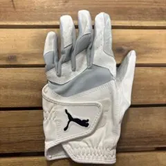 Item thumbnail for item 0bc1a439-488a-4afb-8b81-45b04c466737