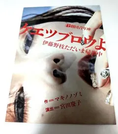 青年座『ケエツブロウよ 伊藤野枝ただいま帰省中』フライヤー2枚セット