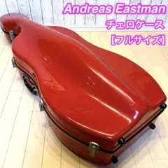 2026年最新】チェロケース イーストマンの人気アイテム - メルカリ