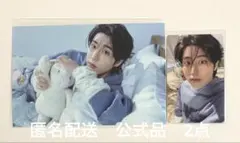 Stray Kids スキズ　ペンミ　特典トレカPOSTCARD BOOK 2点