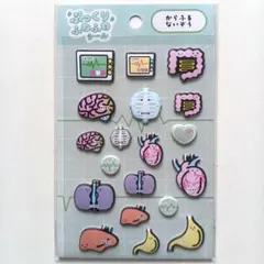 ぷっくりふわふわシール からふるないぞう 人体模型　セリア　キャンドゥ　ダイソーのサムネイル