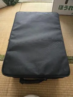 Item thumbnail for item df66c46a-c3d5-42b8-bef1-23adfa0e06e0