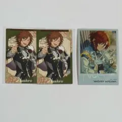 三毛縞斑 セット