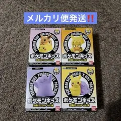 ポケモンキッズ　30周年スペシャルvol.2 4点セット