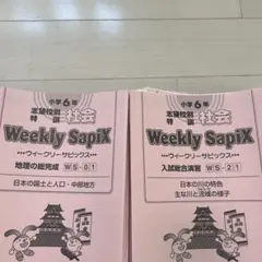 SAPIX 6年 桜蔭1コース 夏期志 四科 2023年受験 欠番なし - メルカリ