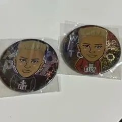 三代目J Soul Brothers 缶バッジ2個セット/ ELLY