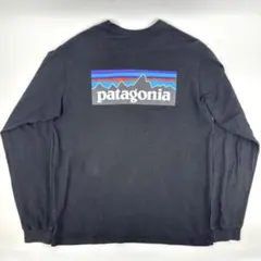 patagonia Responsibili-Tee L パタゴニア ロンTのサムネイル