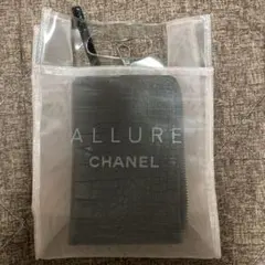 CHANELシャネル　ノベルティ　シースルー　シアー　メッシュ　海　プール