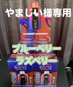 やまじい様専用 ブルーベリーラズベリー