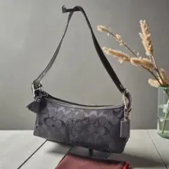 【美品】 coach コーチ ショルダー バッグ シグネチャー 6371 袋付