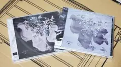 蛾と蝶 クロハネ CD DVD