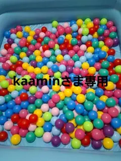 kaaminさま専用