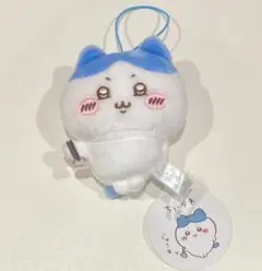 Item thumbnail for item 07a29a24-0304-42d7-a2c6-6bca1ef3bdb7