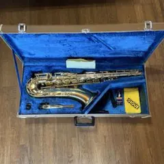 2026年最新】yamaha yts-31の人気アイテム - メルカリ