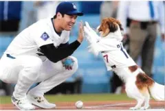 Item thumbnail for item 08da8072-5783-41af-99f0-47e20b1b99ee