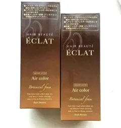 ヘアボーテ エクラ ボタニカル エアカラーフォーム８０g２本のサムネイル
