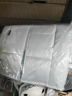 Item thumbnail for item c49539c5-692b-404d-bcec-c050bb84cc76