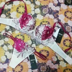 サルート　17　黄龍　ブラジャー&ソングM　RP