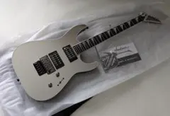 CAPARISON DELIINGER CA クリストファーアモットモデル CAPARISON DELIINGER CA クリストファーアモットモデル - メルカリ