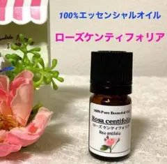 コスモス (秋桜) ～調和・思考を言語化～フラワーエッセンスシャンドゥ