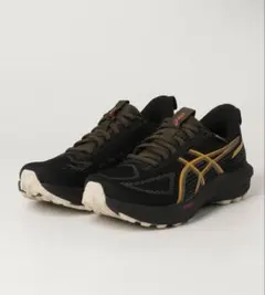 ASICS GT-1000 14 GTX