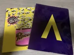 嵐 ライブパンフレット④