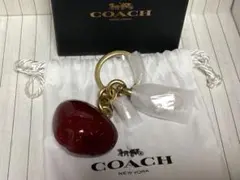 2026年最新】coach キーホルダー リンゴの人気アイテム - メルカリ