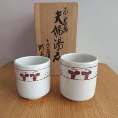 赤膚焼　大塩昭山　奈良絵 夫婦湯呑 木箱入り