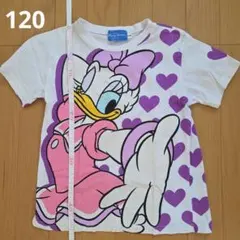 120 デイジー　東京ディズニーリゾートのサムネイル