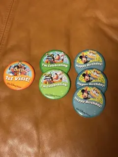 Walt Disney World ピンバッジ 6個セット