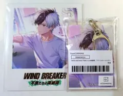 wind breaker 桜 ウィンヒロ