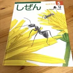 キンダーブック しぜん くさきぞめ【初版・絶版・希少入手困難】2点