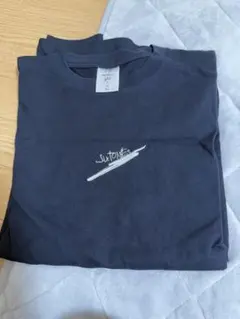 Item thumbnail for item ce5da8cd-1b95-4b07-a17e-3f56025d5a4c