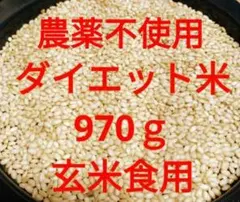 もち玄米　９７０ｇ　ダイエット米　もちもち食感の玄米ご飯となります。食物繊維豊富のサムネイル