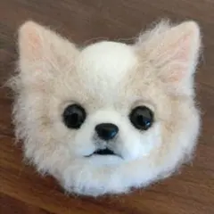 羊毛フェルト　チワワブローチ